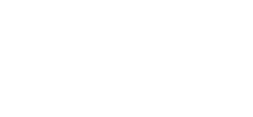 Cybersecurity by IRM